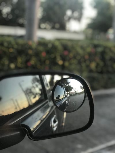 luhinojosa thumbnail