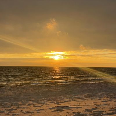 Beachybabemi thumbnail