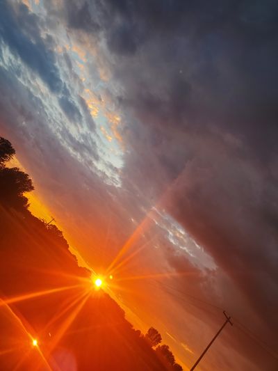 Taylor Conlon thumbnail