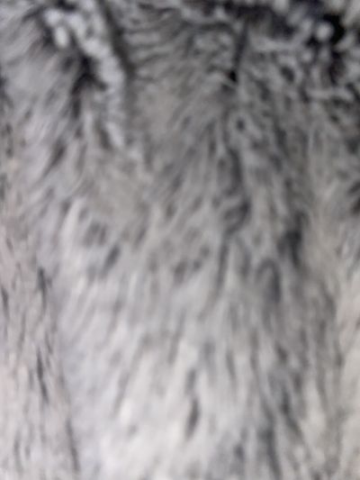 KOLTEN LEVI thumbnail