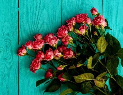 Underthemoonlight thumbnail