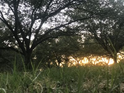 albonobon34 thumbnail