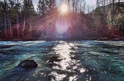 bullylong8 thumbnail