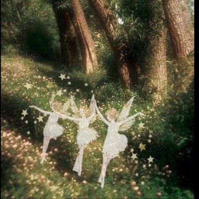 forest.fai thumbnail