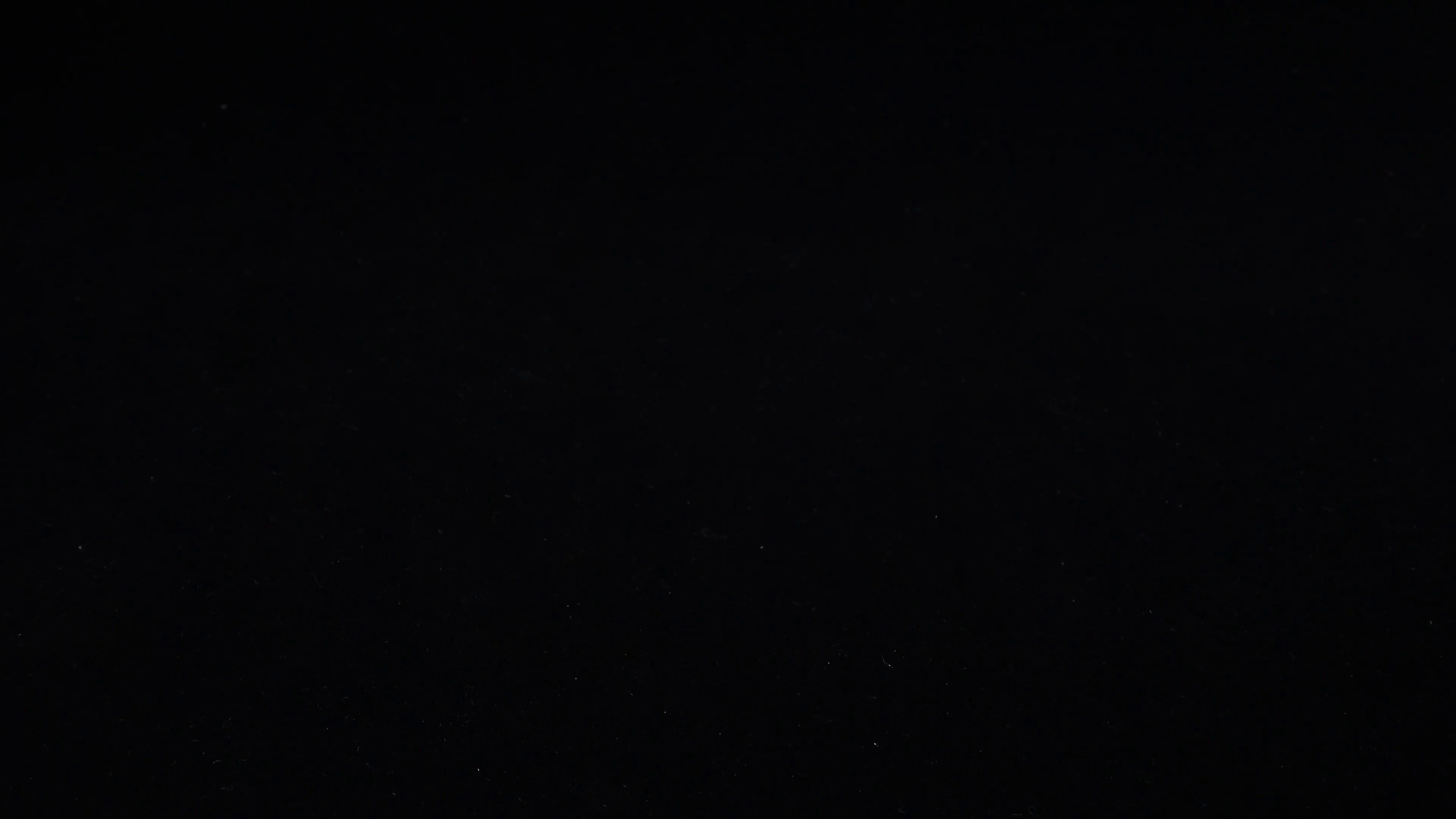 Freddy A. Montoya thumbnail