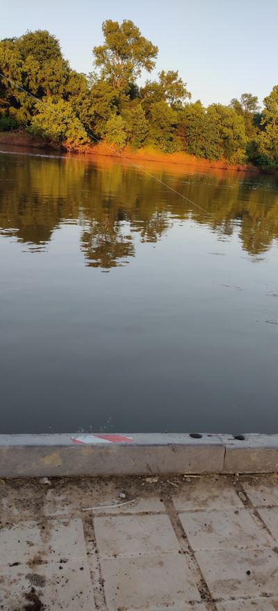 azizalwayz thumbnail