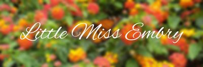 littlemissembry thumbnail