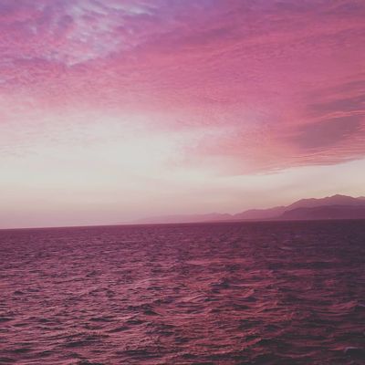 ChubbyToni thumbnail