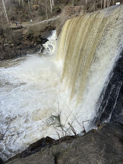 fit_freak22 thumbnail