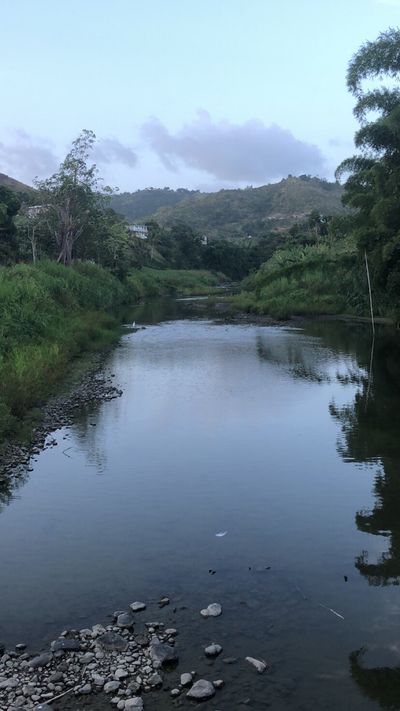 baseball4life thumbnail