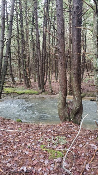 biggdaddy80 thumbnail