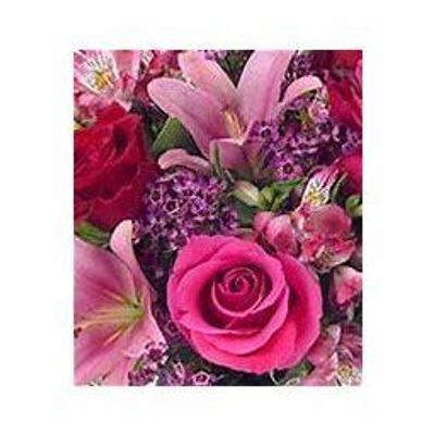 Honey_Maria thumbnail