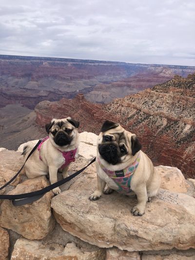 u220337308 thumbnail