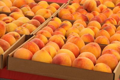 peachiesgirl thumbnail