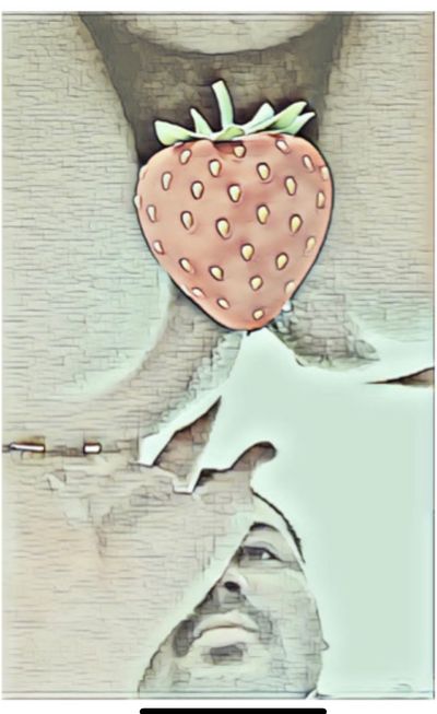 Pepe Le Pew🦨 profile