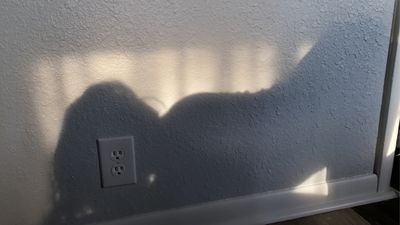 1l_ovely4lynne thumbnail