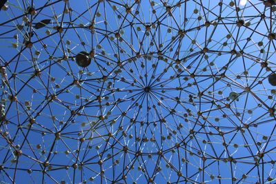 liquid.lauren thumbnail