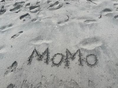 thatgingermo thumbnail