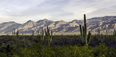 curiously_withdrawn thumbnail