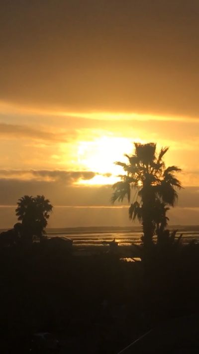 hottea.com thumbnail