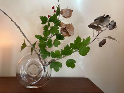 benjami72128042 thumbnail