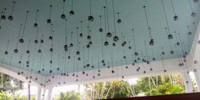 froglover00 thumbnail