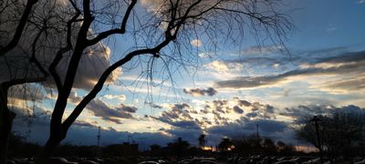 thicbabyboy thumbnail