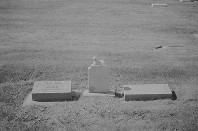 perniciouspeony thumbnail