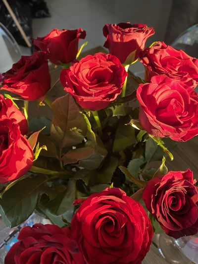 sarahxsaint thumbnail