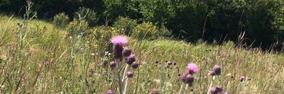 mike_4xxxx thumbnail