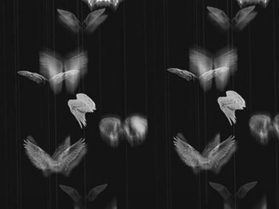 tatteddreams thumbnail