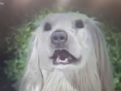 maurici12800300 profile