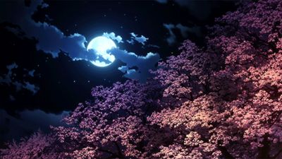 dermetalldrache thumbnail