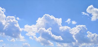 strange_animal thumbnail