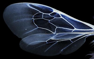 canwegoinsidenow thumbnail