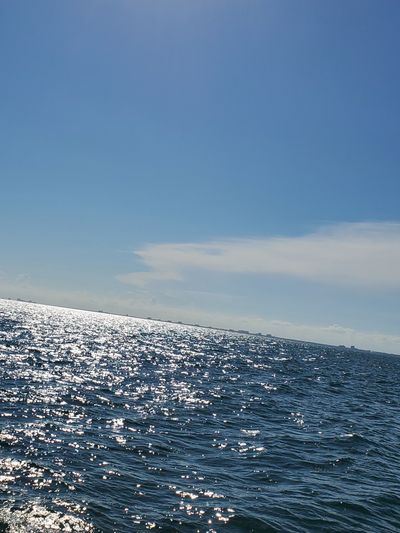 wigglywiggler thumbnail