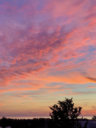 onlyonejuliet thumbnail