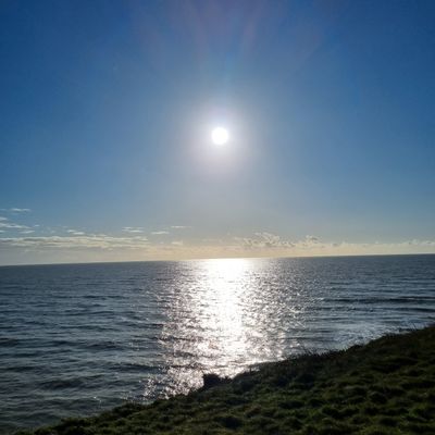 bigbunnyste thumbnail