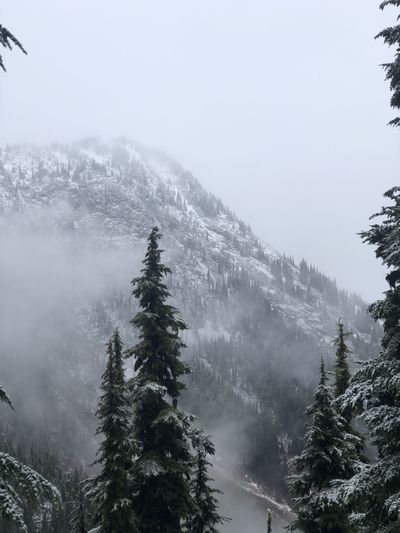 scorpiobabes1 thumbnail