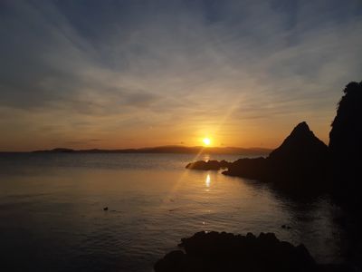 kinky_rosexo thumbnail