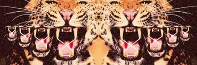 lisasspellbook thumbnail