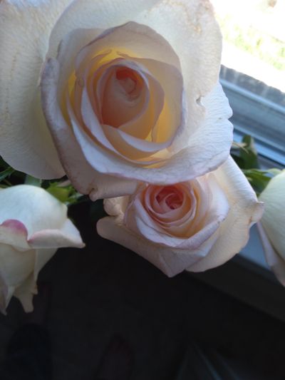 tangytangerine1991 thumbnail