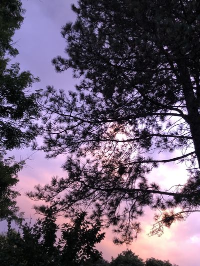 sandybear97x thumbnail