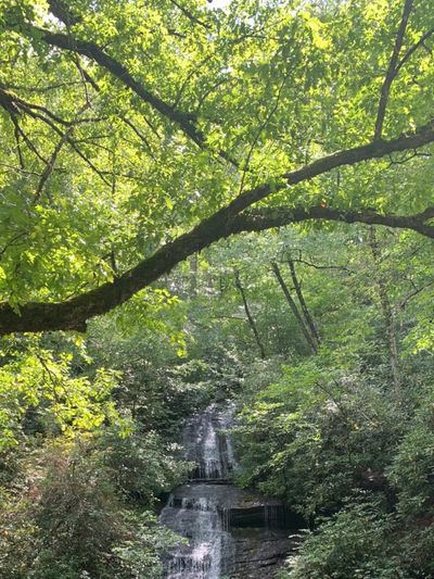 xetherealxdragonx thumbnail