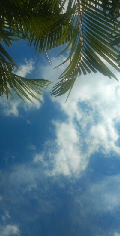 HERMES DE JESUS thumbnail