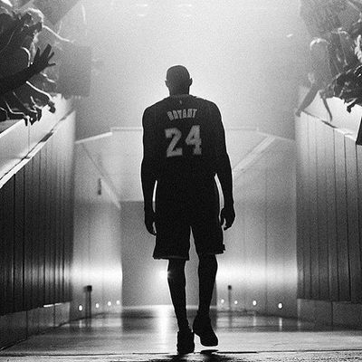 Kobe knight thumbnail