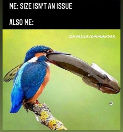 Quick Silveer thumbnail