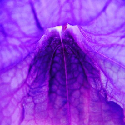 Clara Phoenix thumbnail