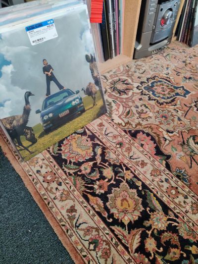 twelveinchess thumbnail