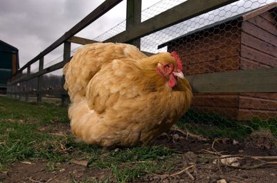 artfullydone thumbnail